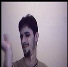 الذبابة و اشارة الماوس
