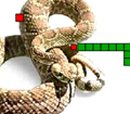 العاب سريعه لعبة الثعبان الجديدة Snake Games